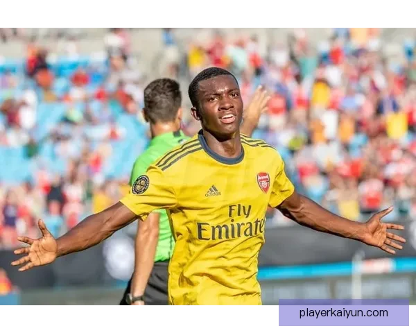 热苏斯与恩凯提亚技术特点对比分析，呈现不同风格的攻击选择。